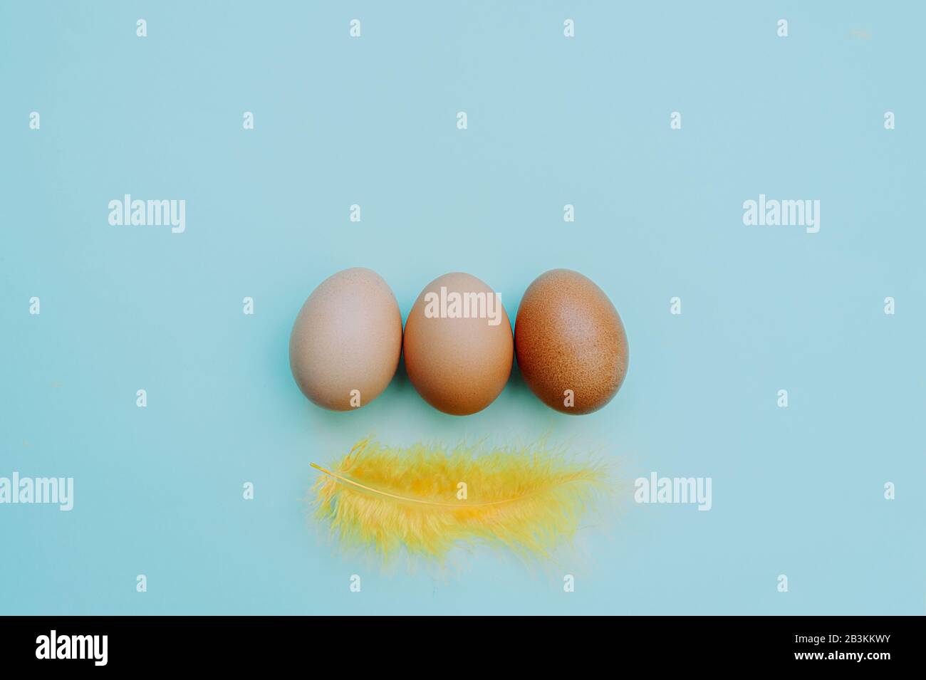 Drei gewöhnliche Hühnereier gradienten von hellen bis dunklen Eiern mit einer gelben Feder auf klarem blauem Grund. Thematisches Osterbild Nein zum Rassismus. Stockfoto