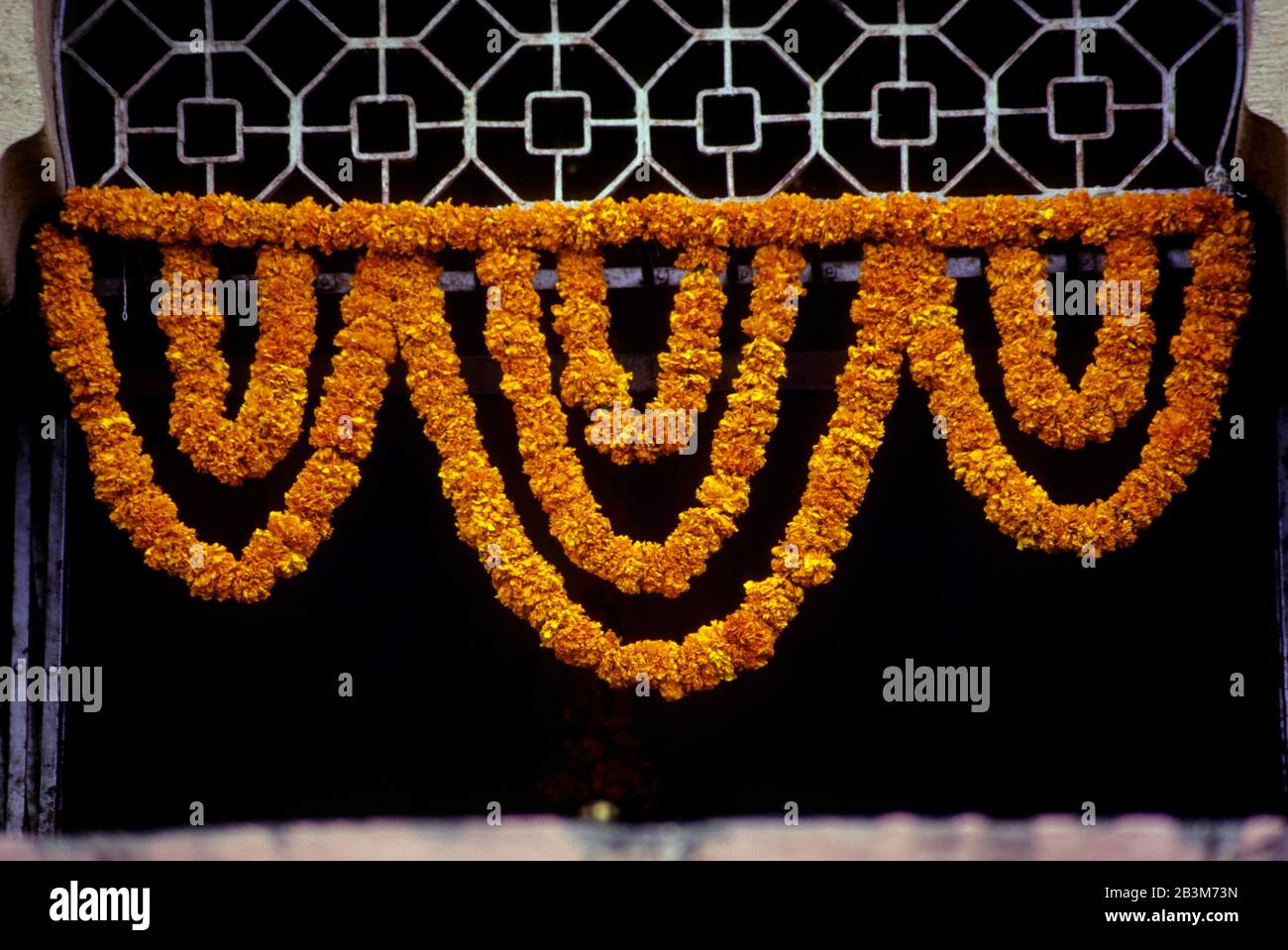 Marigalte Blumen Toran verwenden in Indien, Asien für religiöse Feiern Indien, Asien Stockfoto