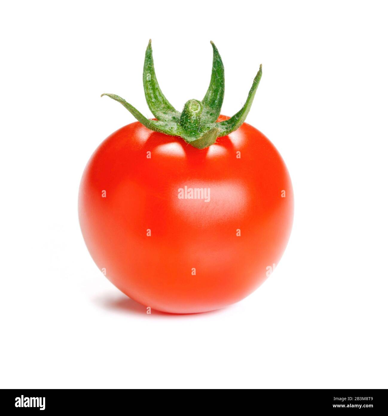 Eine reife Tomate isoliert auf weißem Hintergrund. Stockfoto