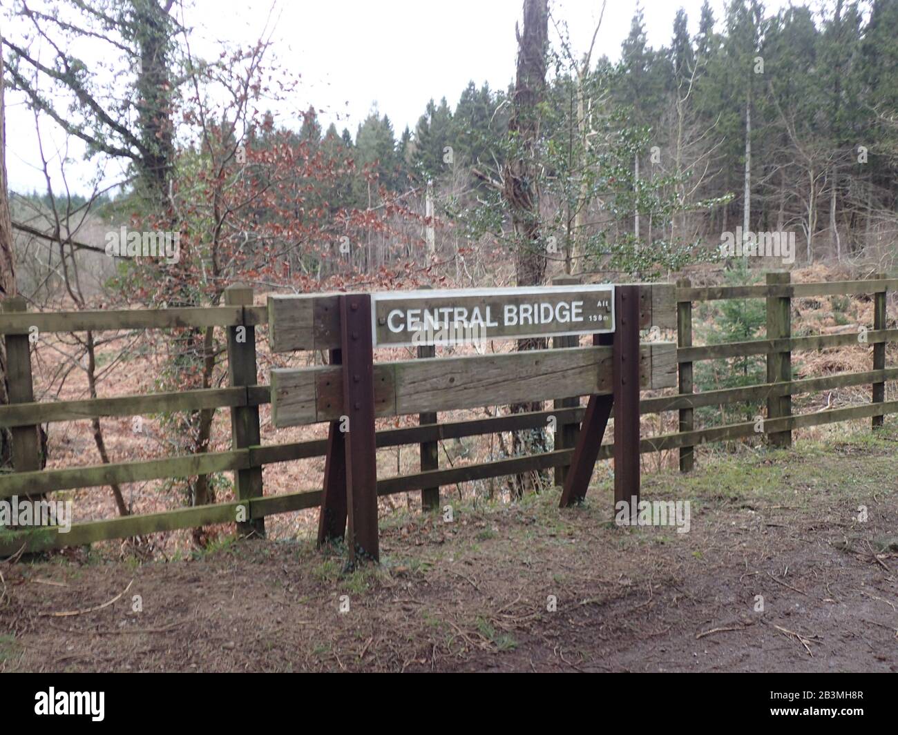 Zentrale Brücke Radweg Wald von Dean Stockfoto