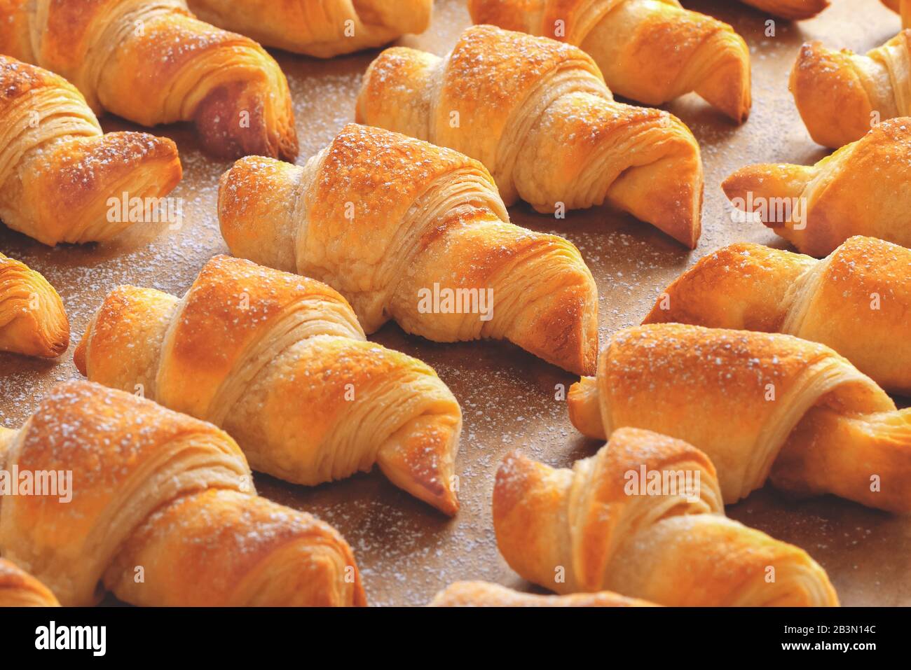 Drei Reihen frisch gebackener goldener Croissants mit Marmelade mit geringer Feldtiefe auf braunem Backpapier, mit Puderzucker bestreut Stockfoto