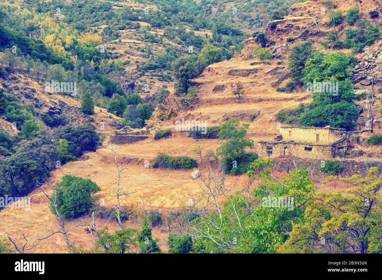 Ein verlassenes Bauernhaus aus Stein inmitten terrassenförmiger Felder an einem Berghang in Südspanien, die terrassenförmigen Wände, die konzentrische Ringe bilden Stockfoto