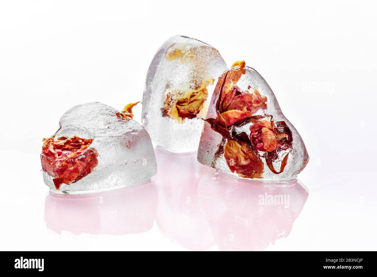 Gefrorene Rose im Eiswürfel. Kreatives Foto. Stockfoto