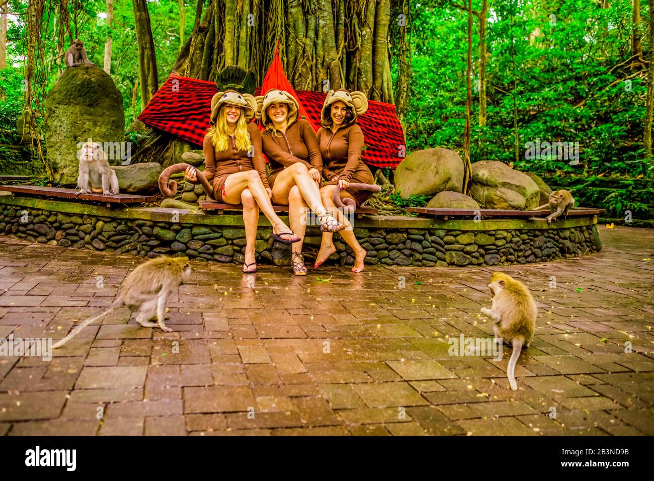 Frauen posieren mit den Affen für ein Bild im Sacred Monkey Forest, in dem 700 Affen leben, Ubud, Bali, Indonesien, Südostasien, Asien Stockfoto