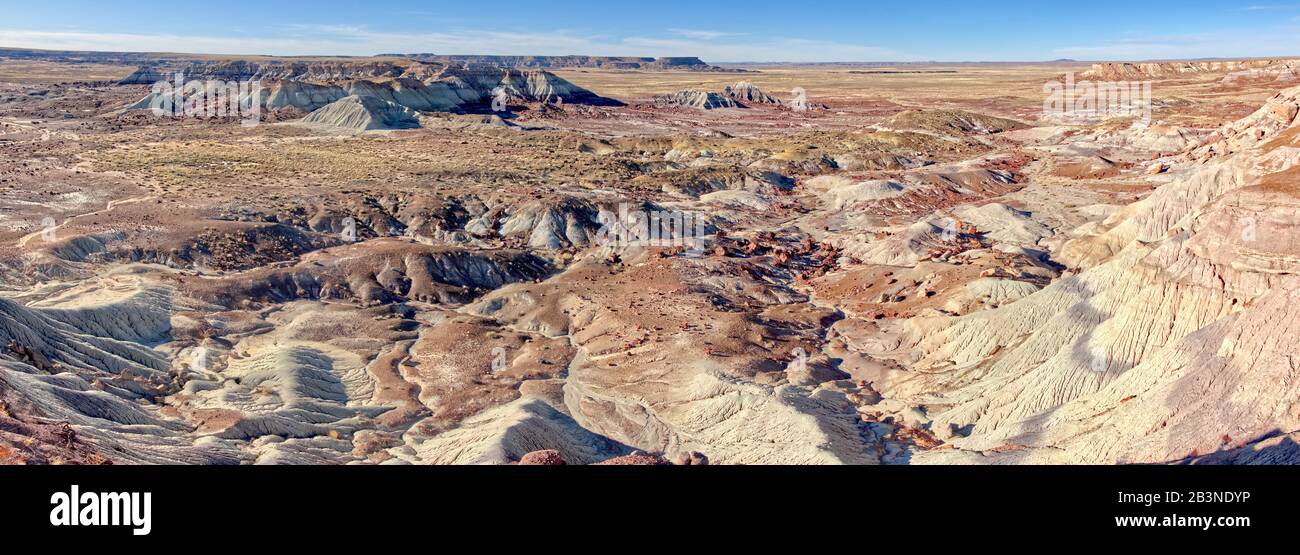 Panorama-Blick auf den Petrified Forest National Park vom First Forest Trail, Arizona, Vereinigte Staaten von Amerika, Nordamerika Stockfoto