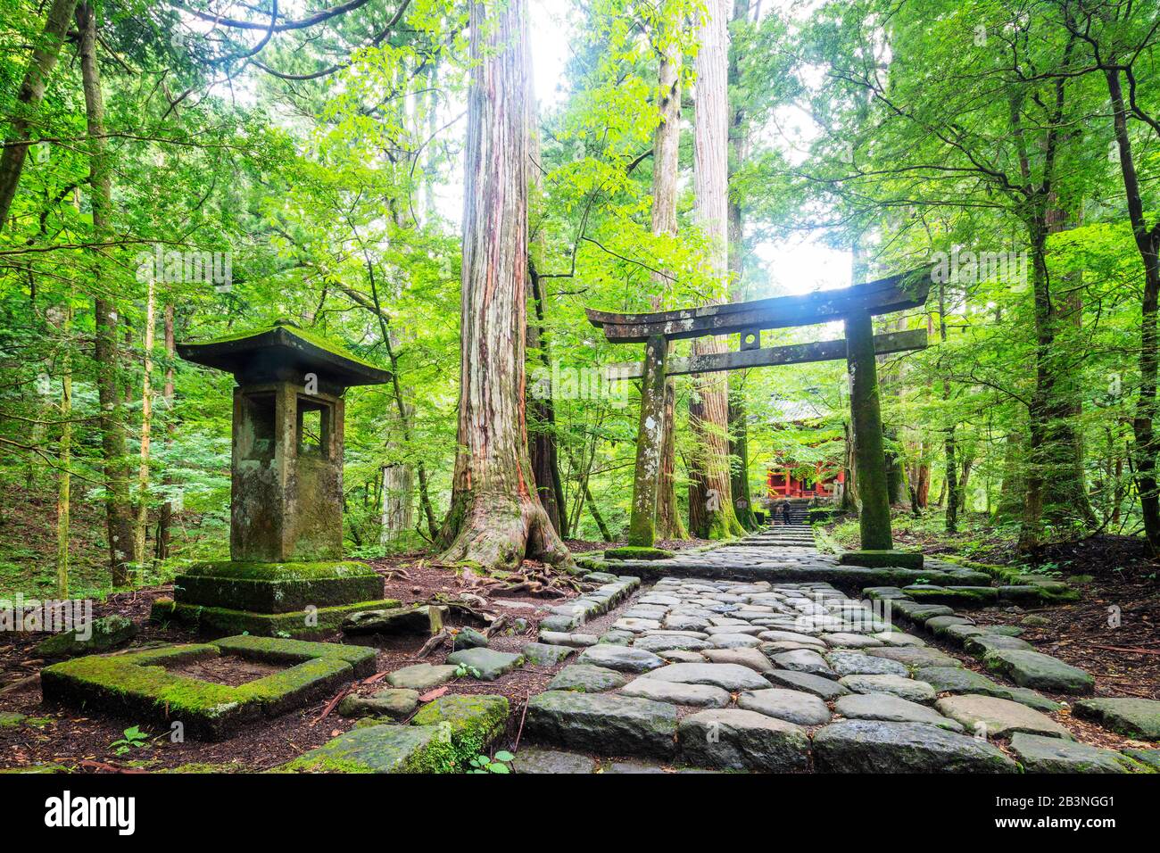 Kitano Shrine Torii Gate, Nikko, UNESCO-Weltkulturerbe, Präfektur Tokigi, Honshu, Japan, Asien Stockfoto