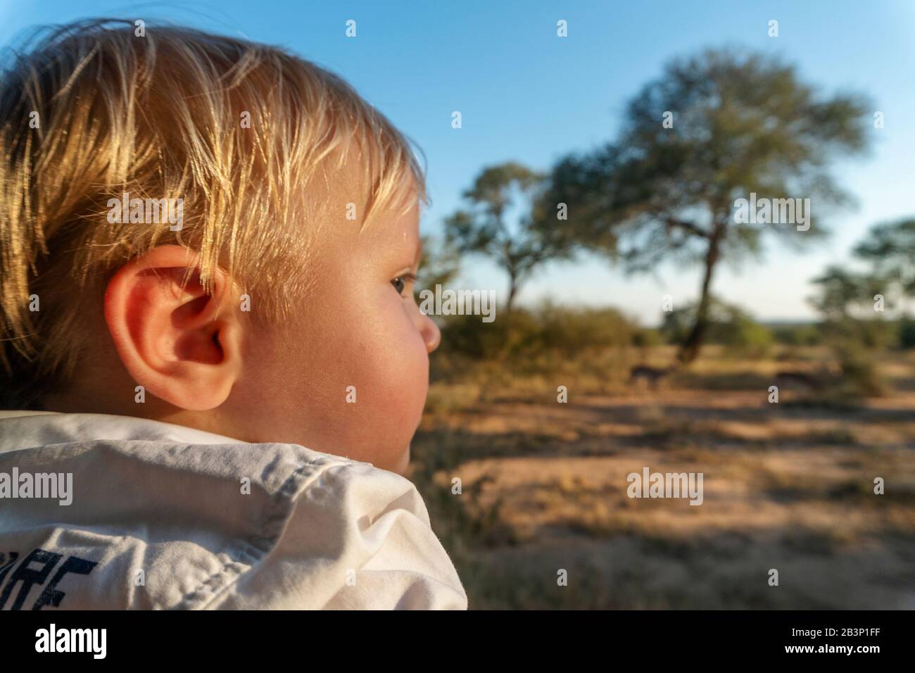 Baby Junge, der Safari im Kruger National Park, Südafrika, genießt Stockfoto