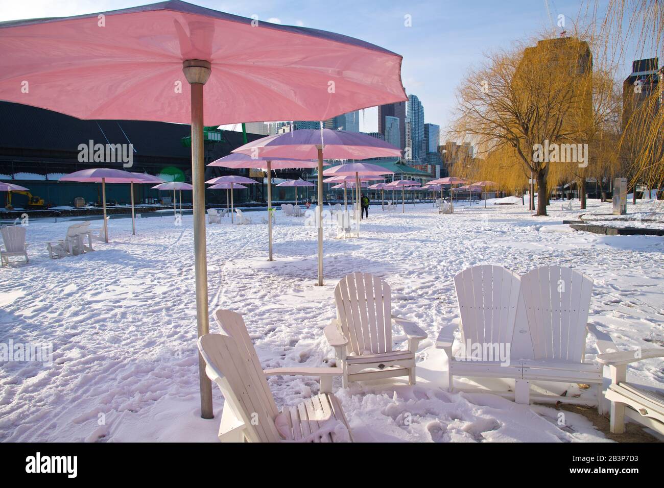 Liegestühle mit Sonnenschirmen im Winter Stockfoto