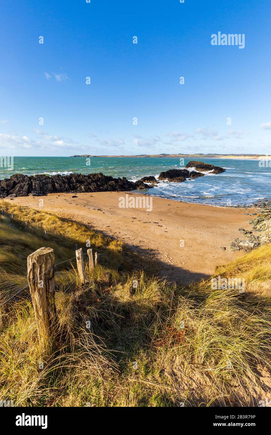 Ein kleiner Strand auf der Insel Llanddwyn mit Blick auf Malltraeth Beach, Anglesey, Wales Stockfoto
