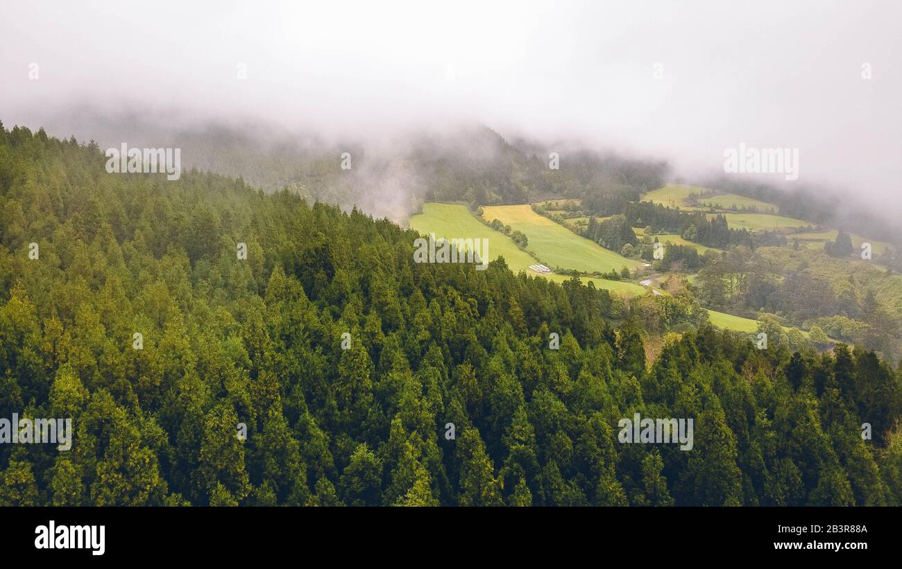 Wunderschöne Landschaft, die von Natur, Wolken, Bäumen und grünen Feldern auf der Azoreninsel São Miguel in Portugal umgeben ist. Stockfoto