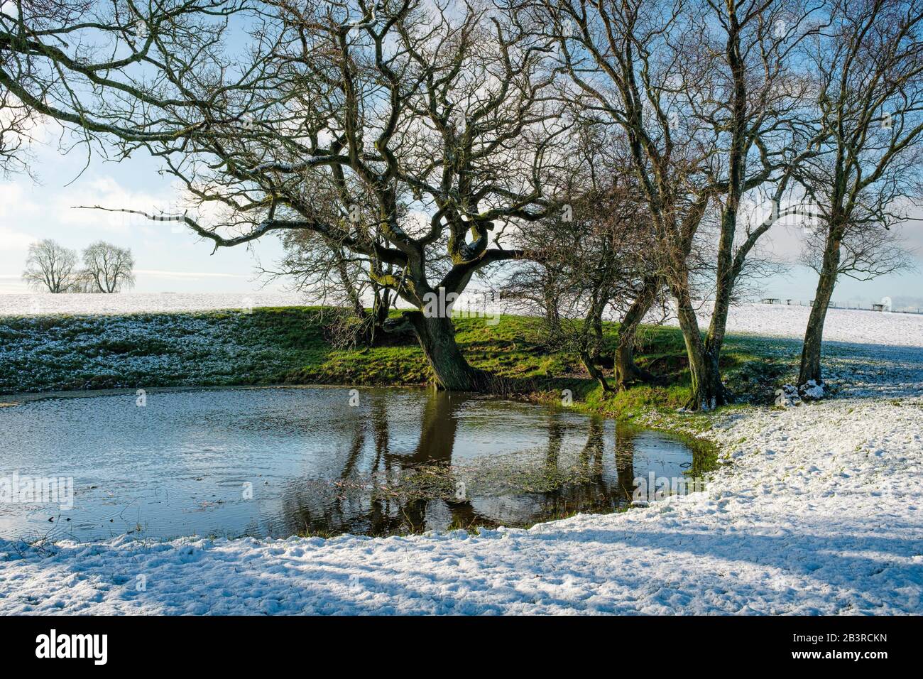 Bäume neben einem Teich in einer verschneiten Landschaft. Stockfoto