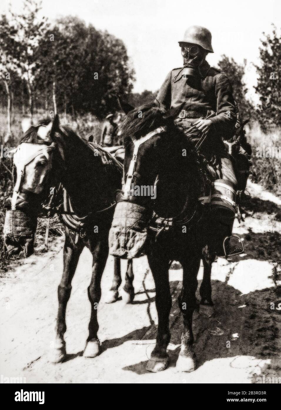 Ein deutscher Soldat und Pferd trägt Gasschutz-Repiratoren. Der Erste Weltkrieg brachte den ersten Bedarf an massenproduzierten Gasmasken auf beiden Seiten wegen des umfangreichen Einsatzes von Chemiewaffen, der ab dem Jahr 1915 begann. Stockfoto