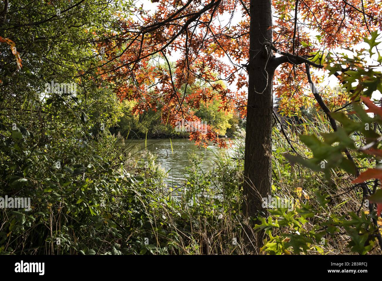 Parks In London Stockfoto