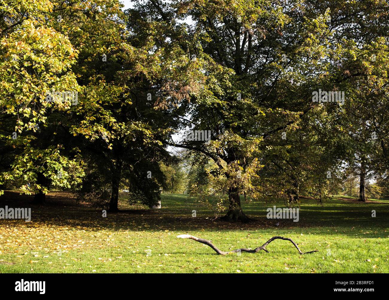 Parks In London Stockfoto