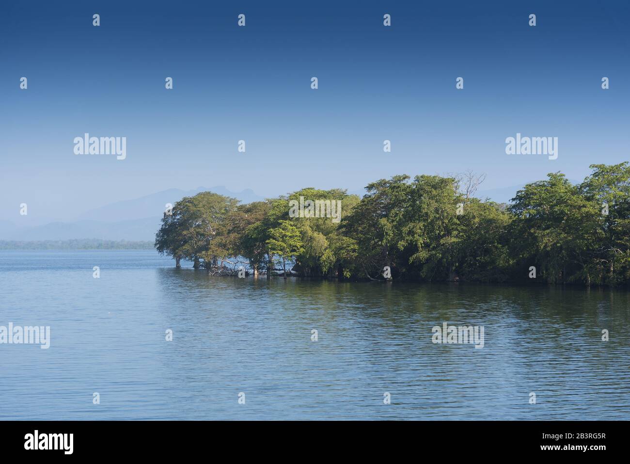 Udawalawe, Sri Lanka dramatischer Blick über einen See. Stockfoto