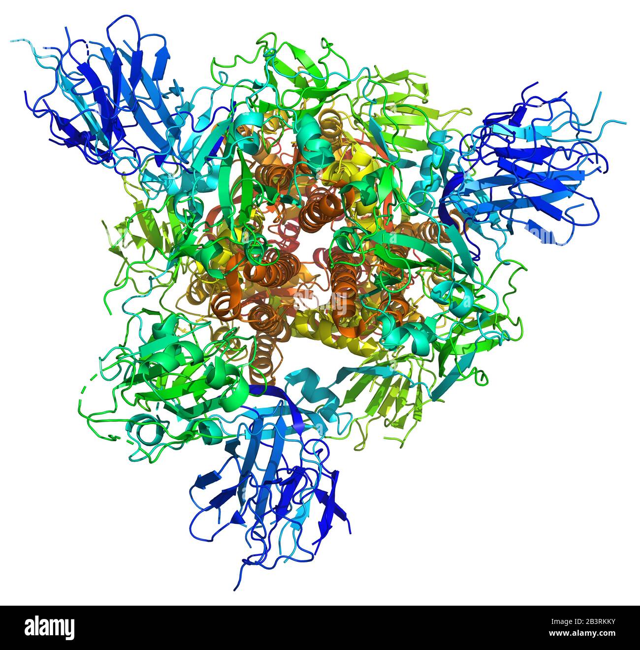 3D-Struktur des 2019-nCoV Coronavirus Spike, ein Ziel für Impfstoff gegen Covid-19. PDB 6VSB Stockfoto