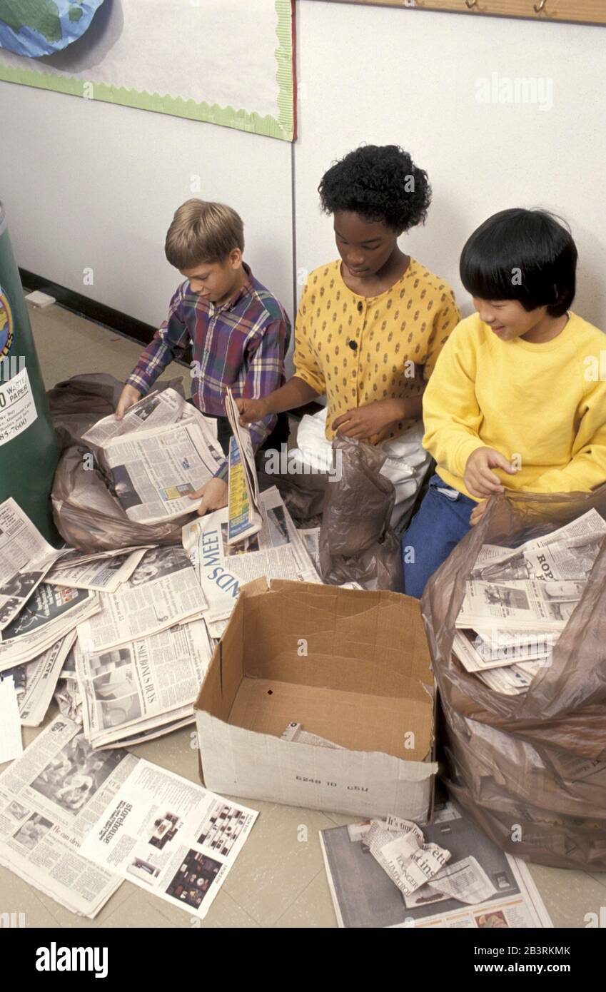 Austin Texas USA, um 1988: Schüler der sechsten Klasse sortieren Zeitungen, um sie im öffentlichen Schulunterricht zu recyceln. ©Bob Daemmrich Stockfoto