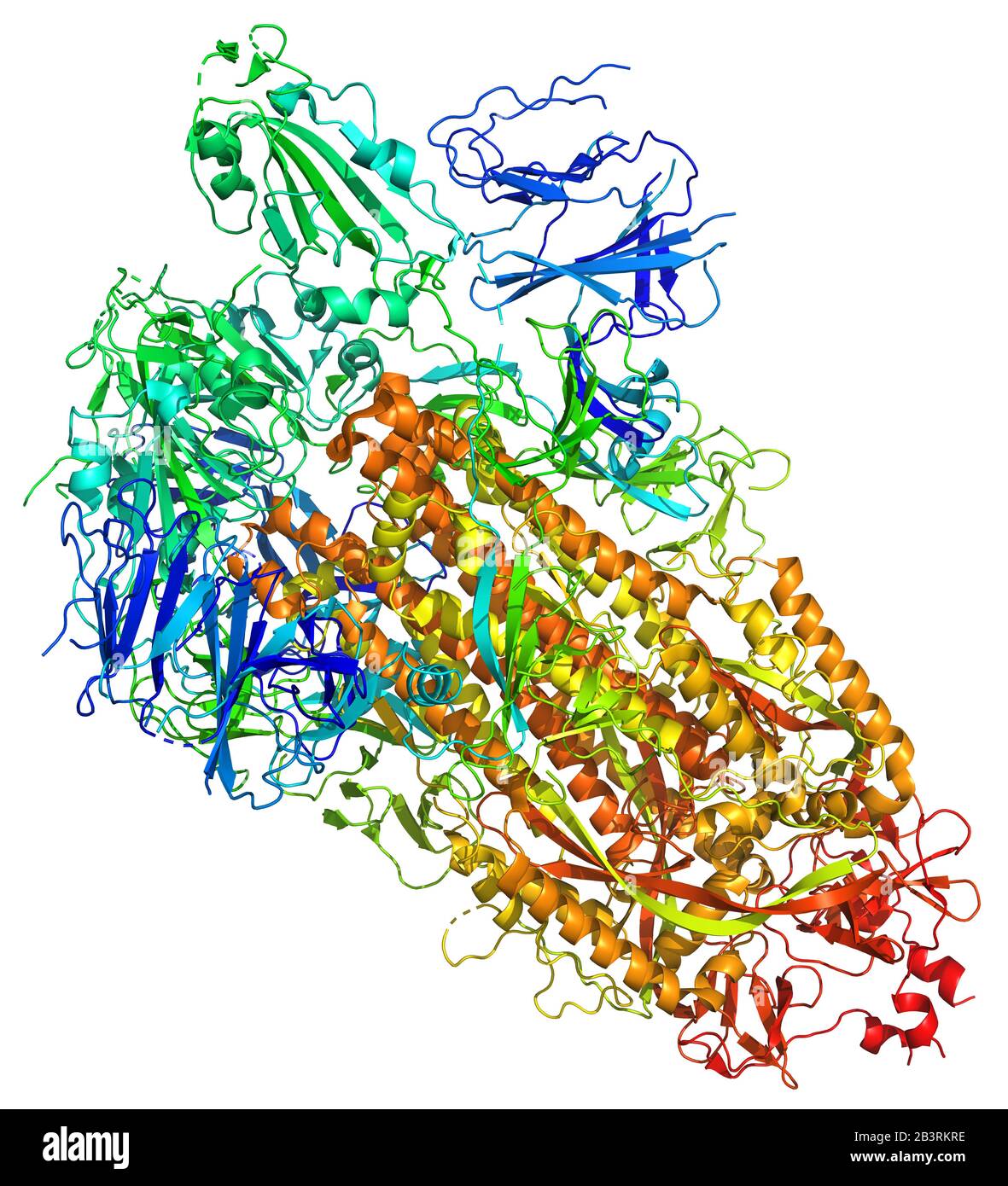 3D-Struktur des 2019-nCoV Coronavirus Spike, ein Ziel für Impfstoff gegen Covid-19. PDB 6VSB Stockfoto