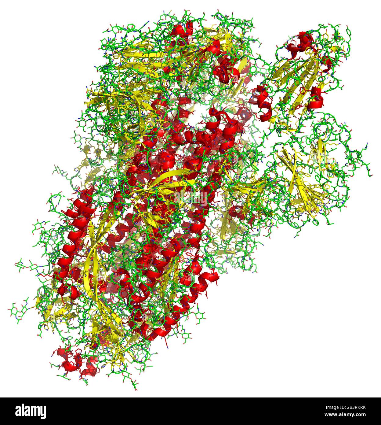 3D-Struktur des 2019-nCoV Coronavirus Spike, ein Ziel für Impfstoff gegen Covid-19. PDB 6VSB Stockfoto