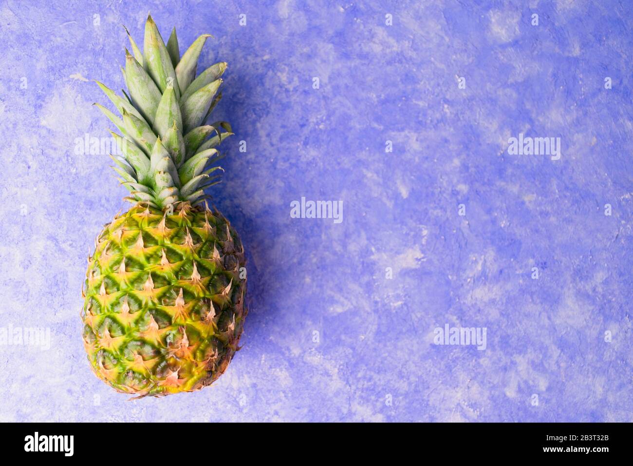 Eine reife Ananas auf blauem Grund. Kopierbereich. Stockfoto