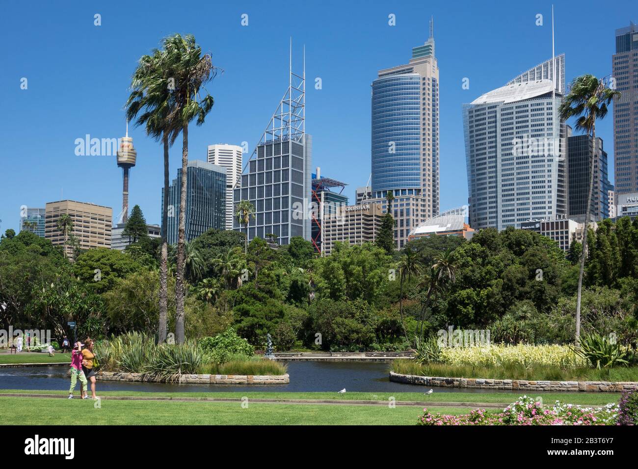 Australien. NSW. Sydney, Botanische Gärten und Skyline der Stadt Stockfoto
