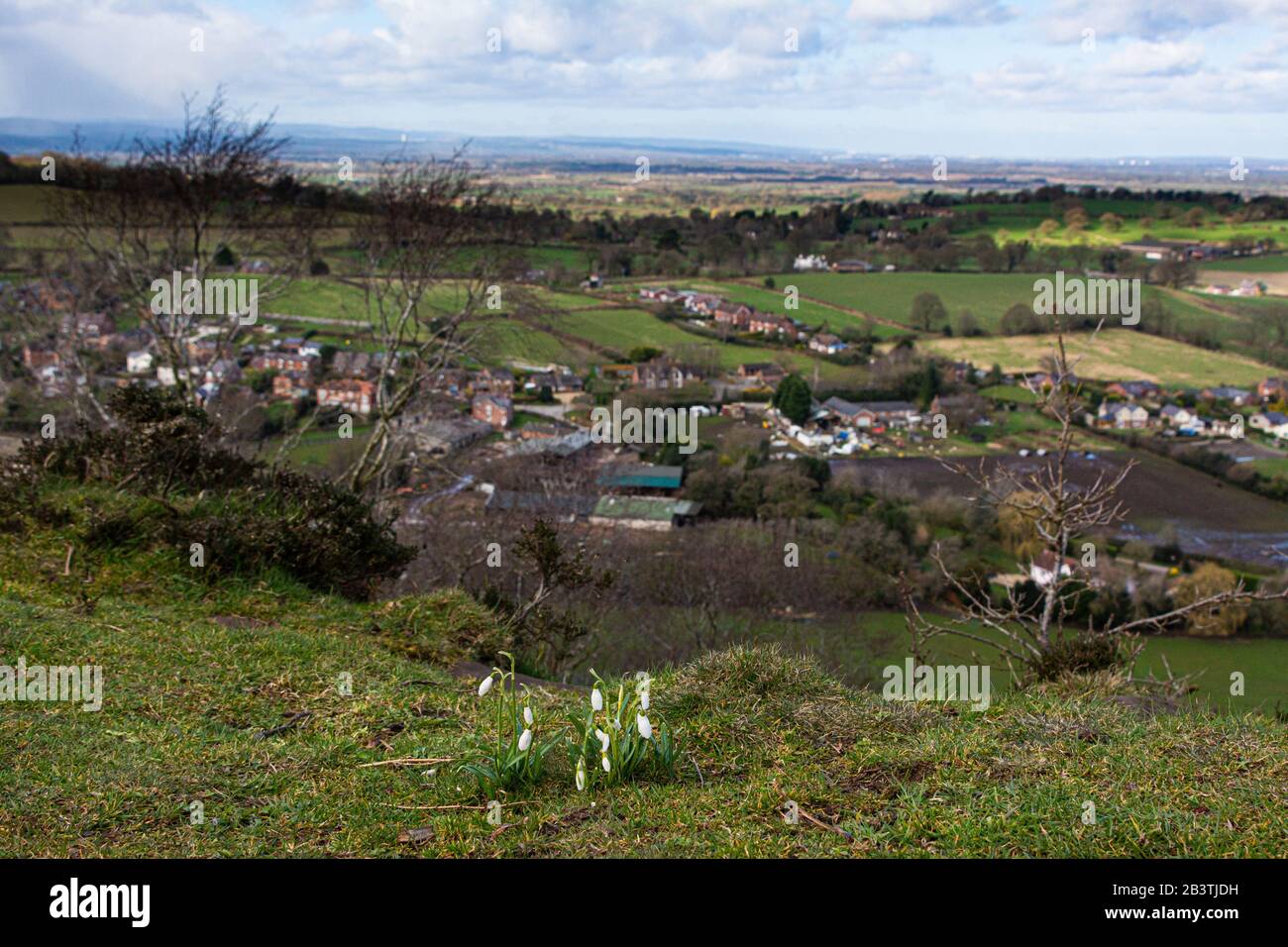 Blick vom Southern Bickerton Hill, Cheshire Stockfoto