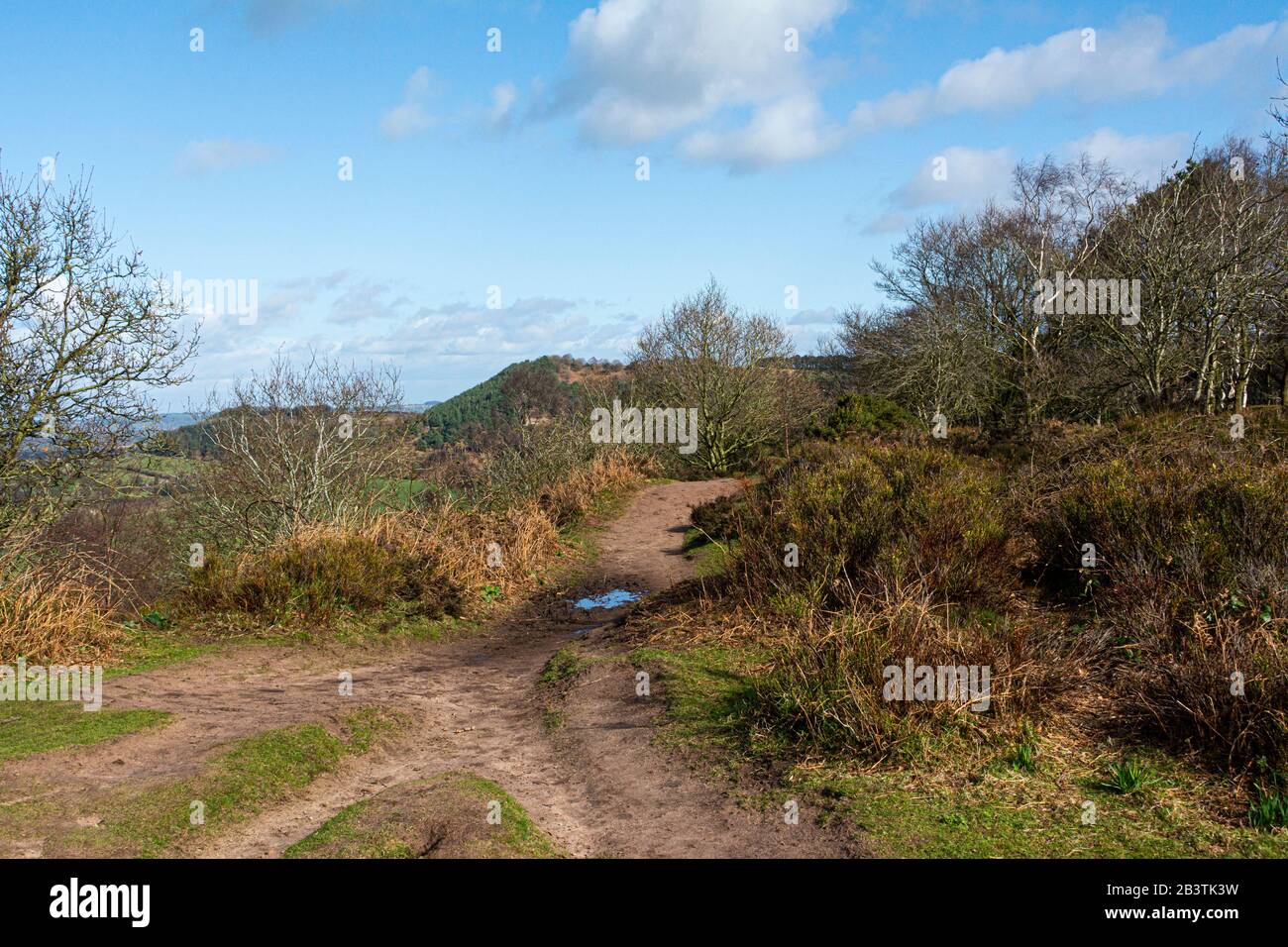 Ein Pfad auf dem Southern Bickerton Hill, Cheshire, der Teil des Sandsteinfeldes ist Stockfoto