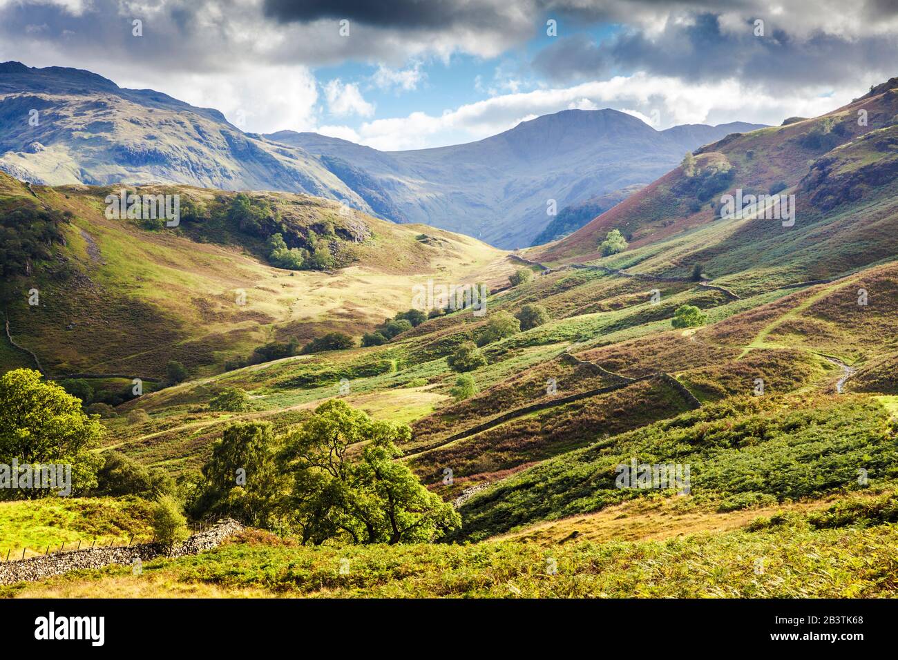 Blick auf Borrowdale im Nationalpark Lake District, Cumbria. Stockfoto