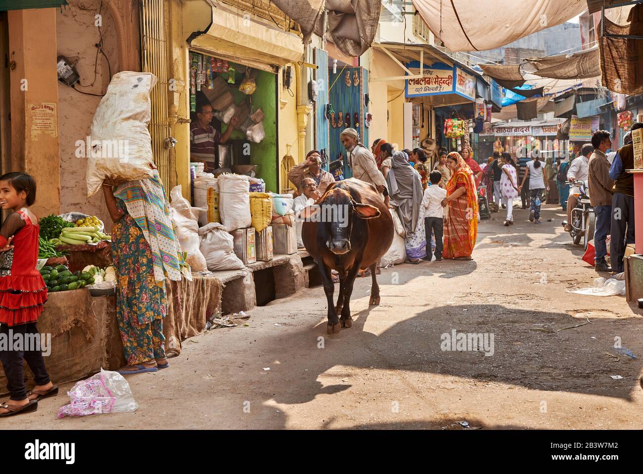 Holy Cow in der Einkaufsstraße von Bikaner, Rajasthan, Indien Stockfoto