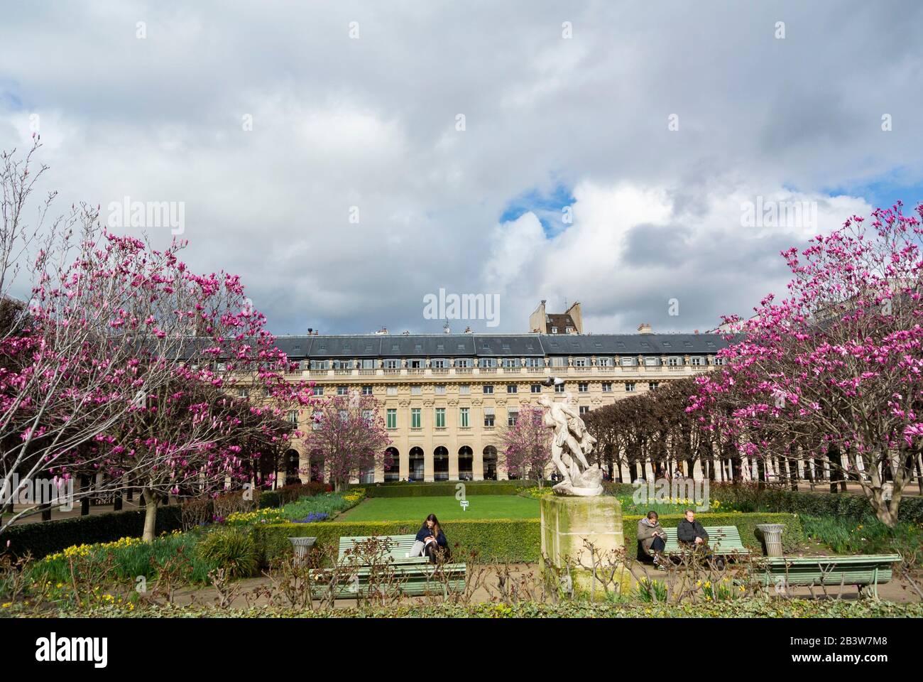 Palais Royal Garten mit lila Magnolienblüten im Frühling, Paris, Frankreich Stockfoto