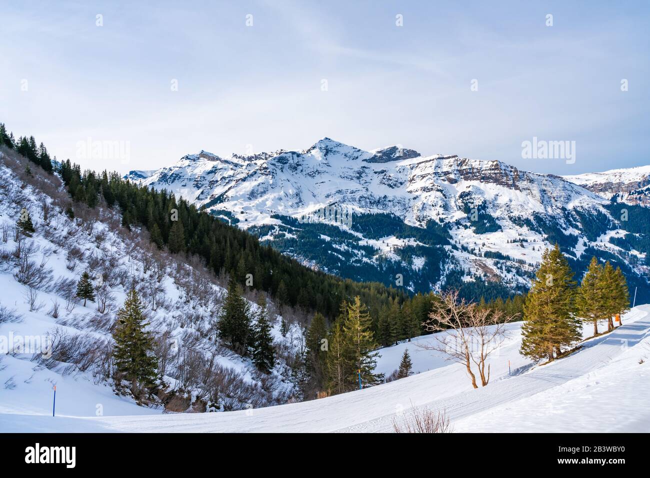 Blick auf die schneebedeckten Schweizer Alpen über dem Skigebiet Wengen, Schweiz Stockfoto