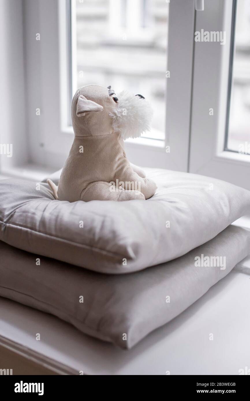 Beige Plüsch Welpe sitzt auf Kopfkissen und blickt auf das Fenster. Stockfoto