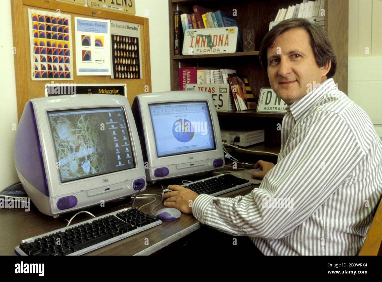 Austin, Texas, USA: Der Evolutionsbiologe der Universität von Texas, David Hills, Gewinner des MacArthur Foundation 'Genius' Awards, in seinem Campus-Büro mit zwei iMac-Computern. ©Bob Daemmrich Stockfoto