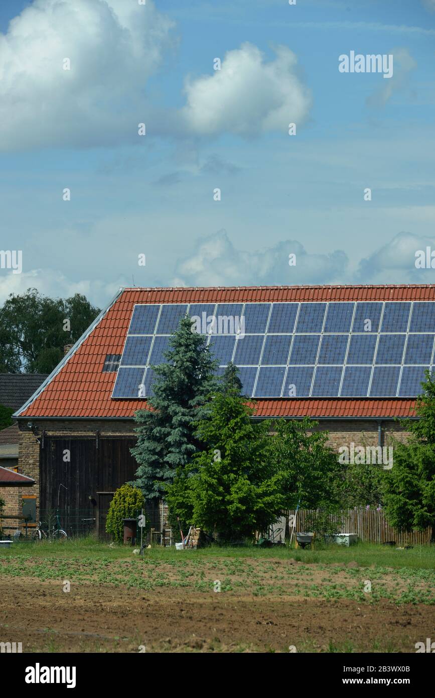 Scheune, Solardach, Brandenburg, Deutschland Stockfoto