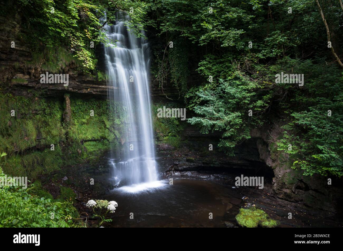 Lange Exposition von Glencar Waterfall im County Letrim, Irland, in der Nähe von Benbulben Stockfoto