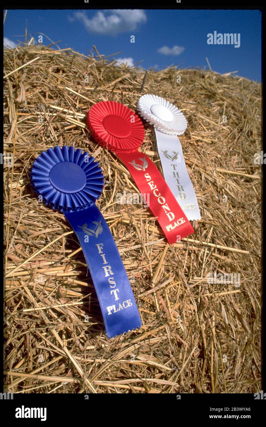 Austin, Texas USA: Erste, zweite und dritte Platz Bänder auf der County Fair ausgestellt. ©Bob Daemmrich Stockfoto