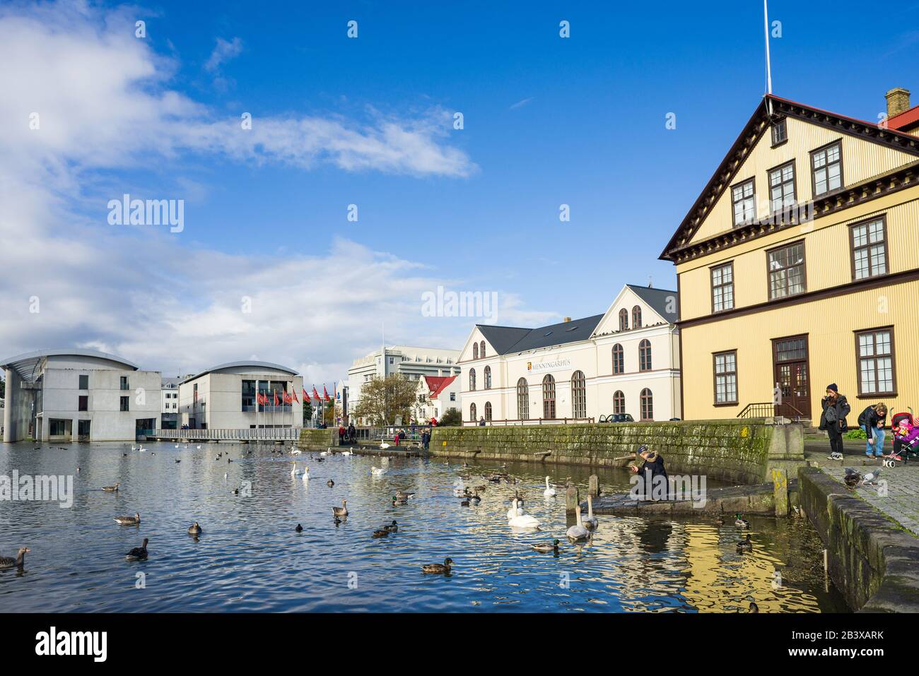 Der Tjörninsee mit Gebäuden und dem Rathaus um ihn herum, während Menschen Enten auf dem See, Reykjavik, Island füttern Stockfoto