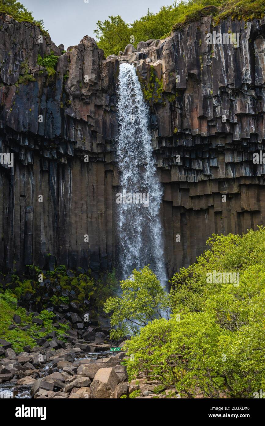 Wunderbar und hohe Svartifoss Wasserfall mit schwarzen Basaltsäulen auf South Island, Sommer Stockfoto