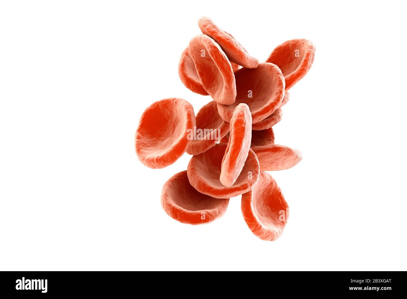 Gruppe roter Blutkörperchen, Erythrozyten isoliert auf weißem Hintergrund. 3D-Abbildung. Stockfoto