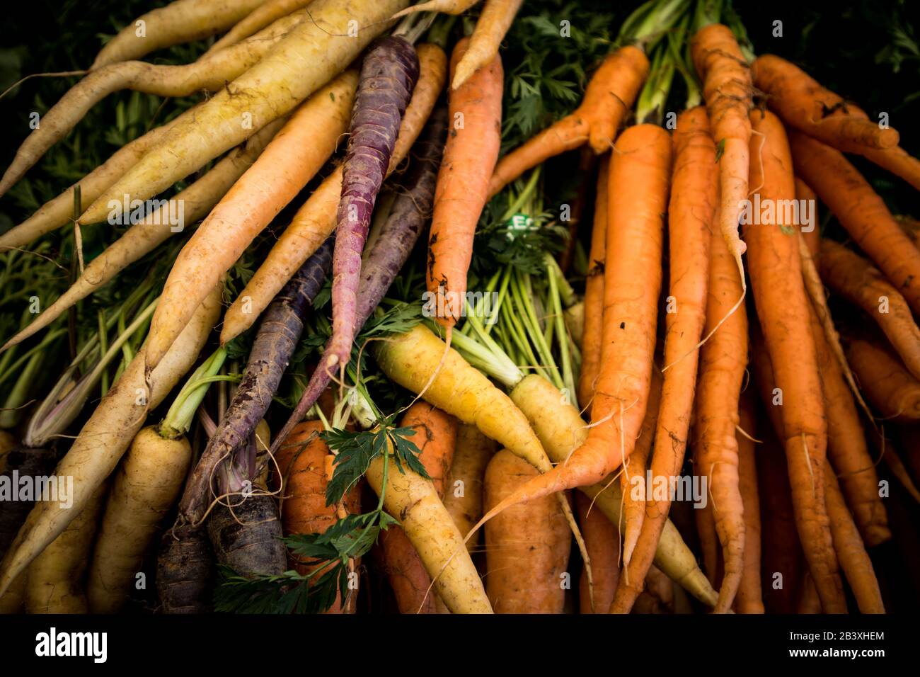 Bunches Regenbogenkarotten auf Dem Markt Stockfoto