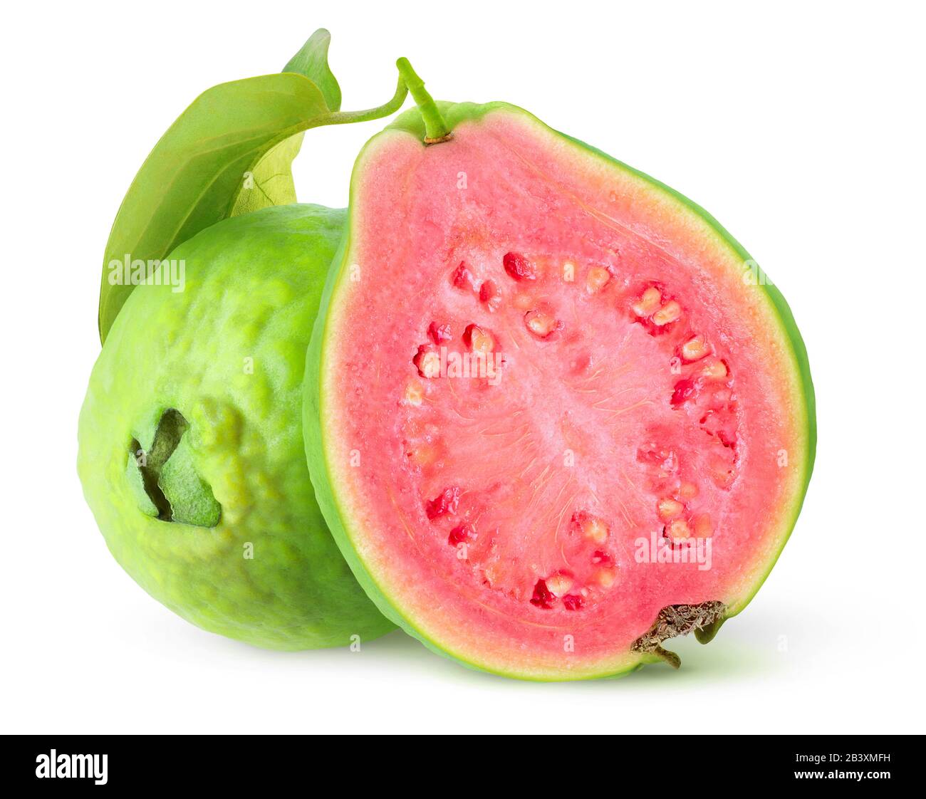 Isolierte Guavas. Schneiden Sie tropische Guava-Früchte mit grüner Haut und rosafarbenem Fleisch, das auf weißem Hintergrund isoliert ist Stockfoto