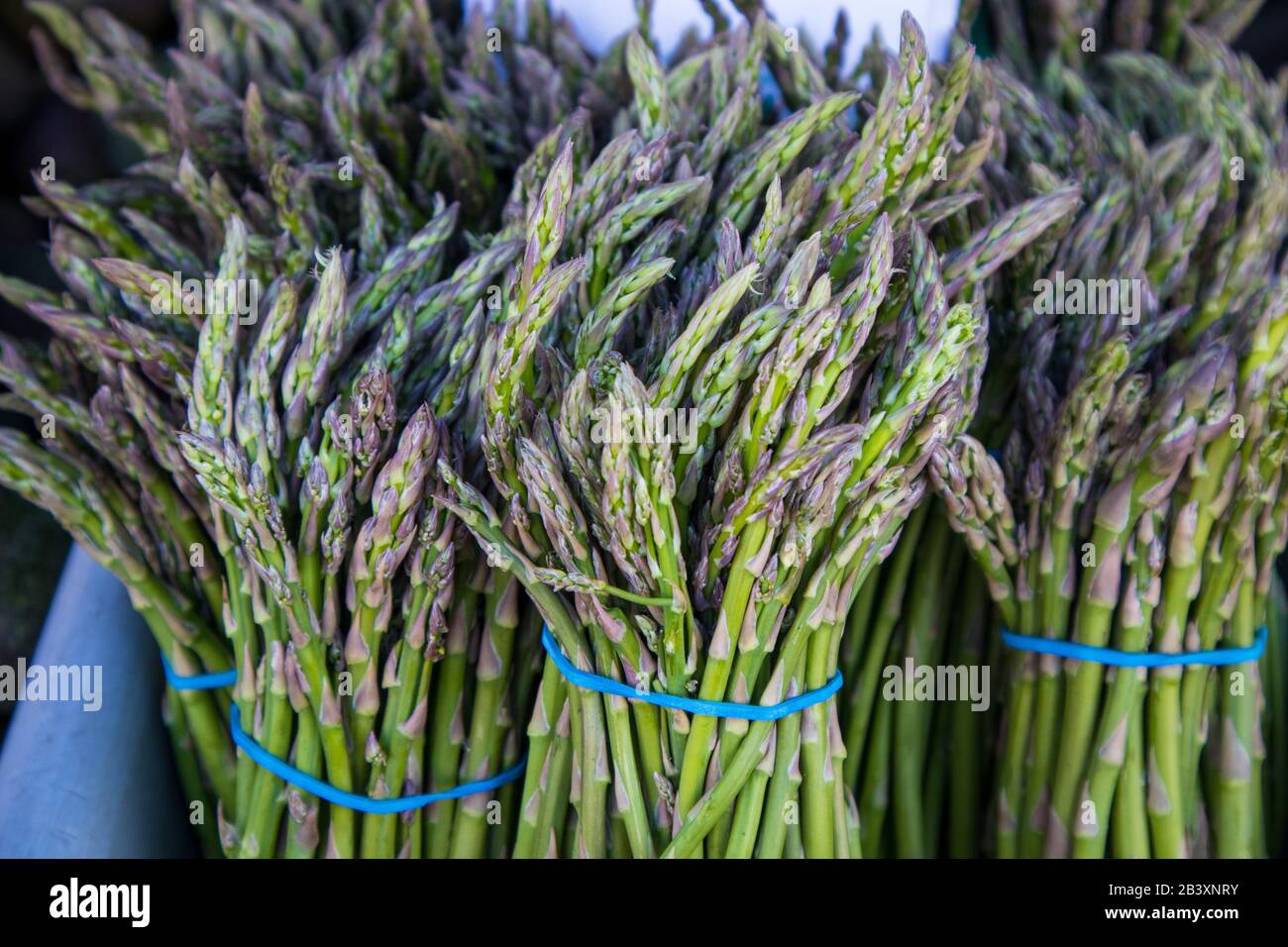 Asparagusbrötchen auf Dem Bauernmarkt Stockfoto