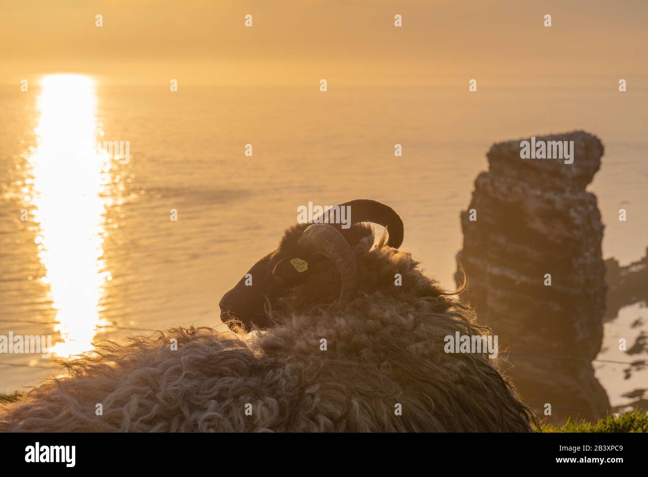 Nordseeinsel Helgoland, Provinz Schleswig-Holstein, Kreis Pinneberg, Norddeutschland, Europa Stockfoto