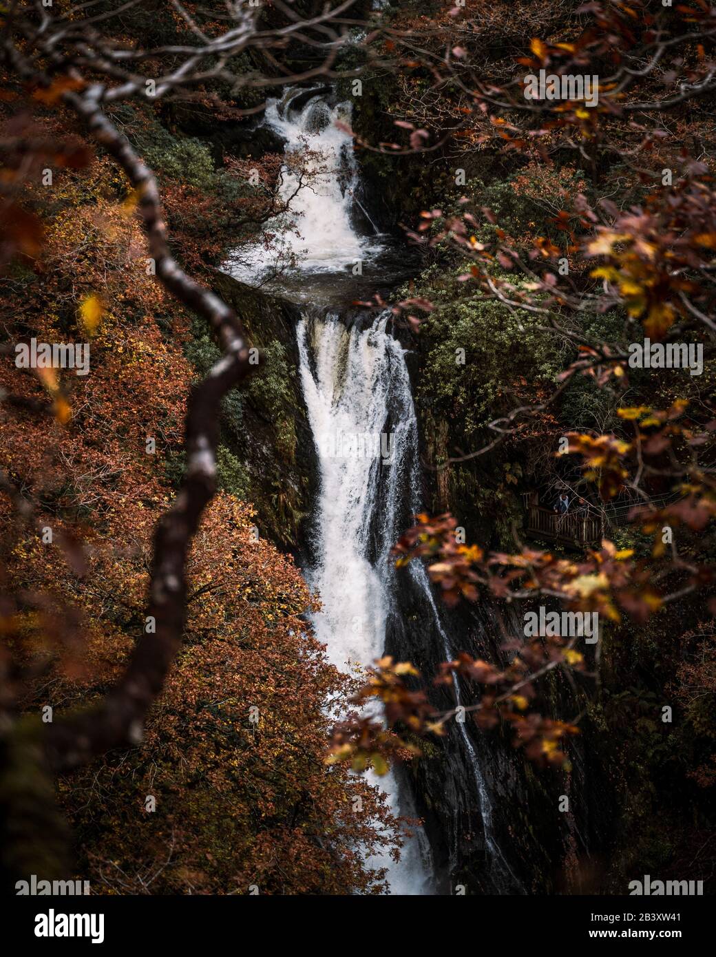 Mynach Falls in Nordwales in der Nähe von Aberystwyth Stockfoto