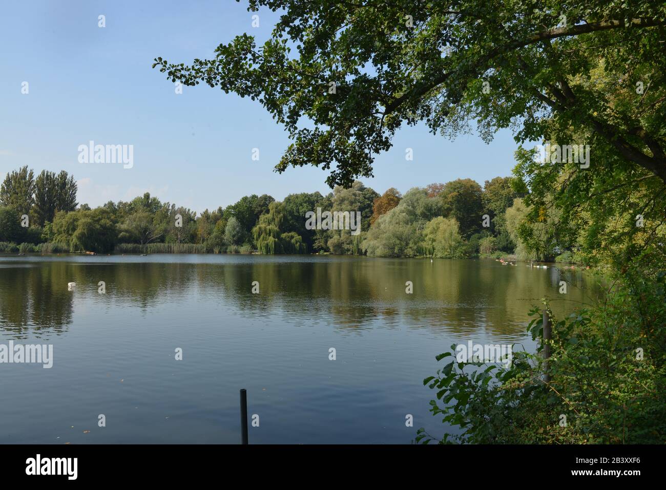 Schaefersee, Reinickendorf, Berlin, Deutschland / Schäfersee Stockfoto