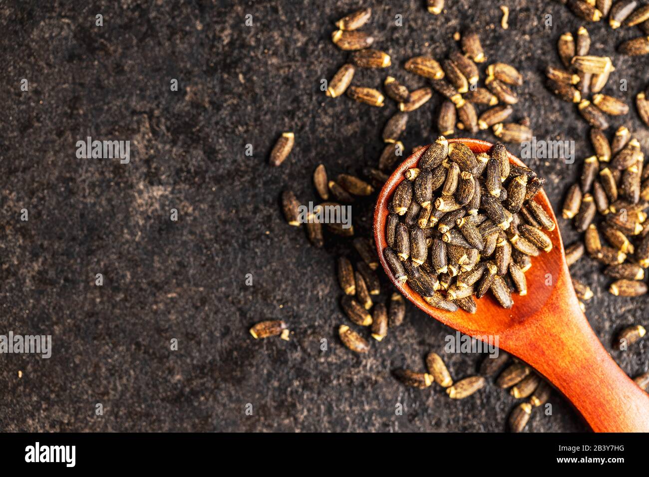 Milch Thistle Samen in Holzlöffel. Draufsicht. Stockfoto