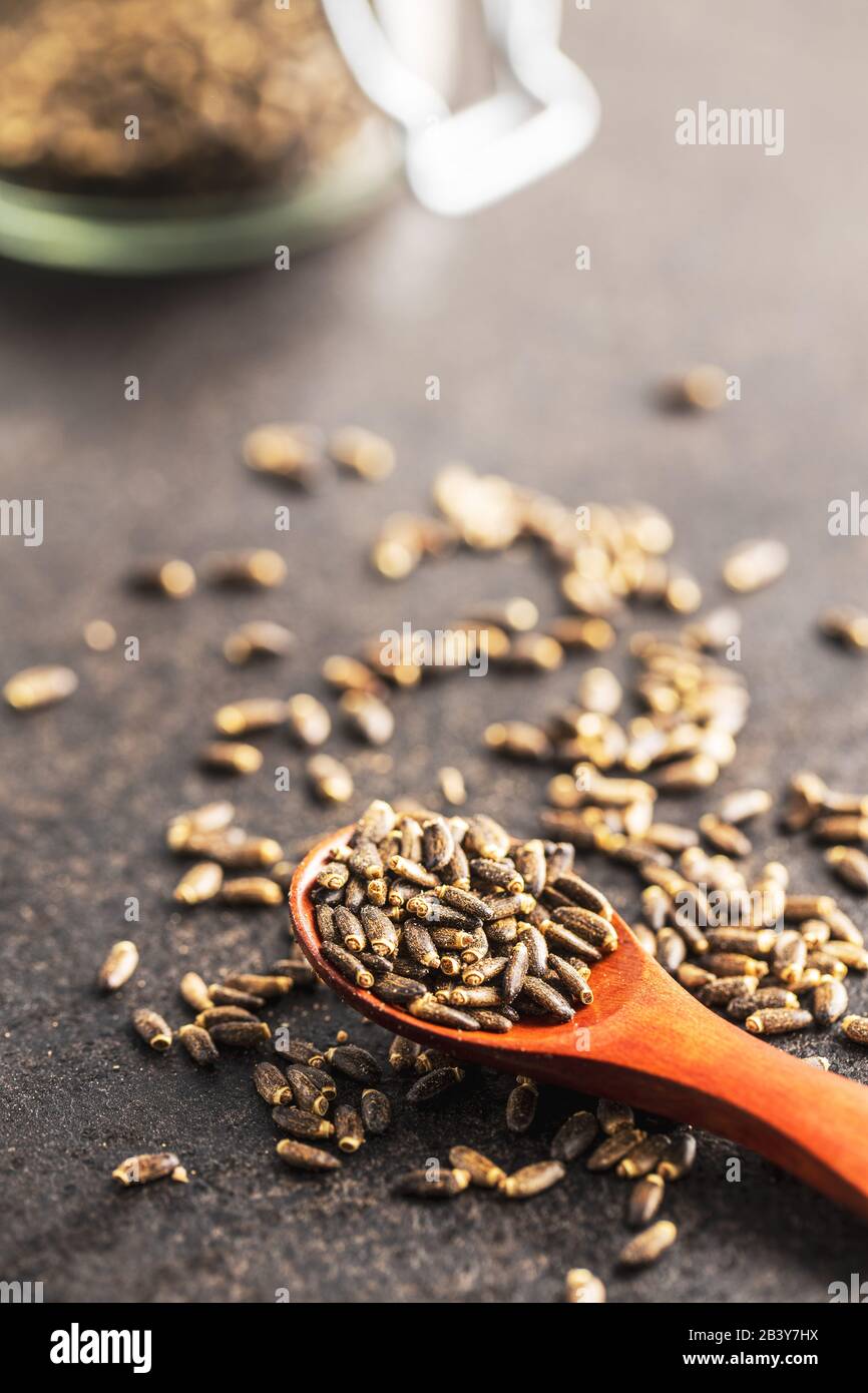 Milch Thistle Samen in Holzlöffel. Stockfoto