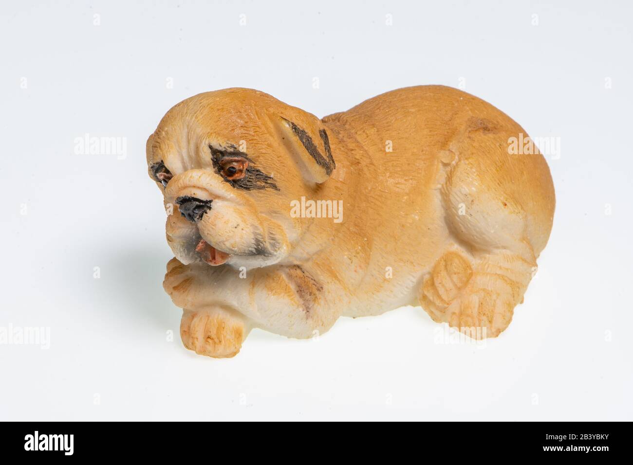 Miniatur englische bulldogge -Fotos und -Bildmaterial in hoher ..., حجم الصورة 1300x956