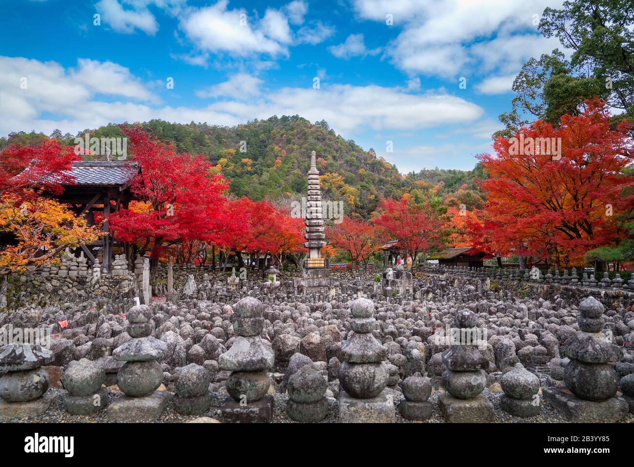 Steinstatuen, die Gräber im Adaschino Nenbutsuji Tempel am Stadtrand von Arashiyama markieren, mit rotem, gelbem Ahorn-Teppich bei der Spitze der Herbstfarbe des Laubes Stockfoto