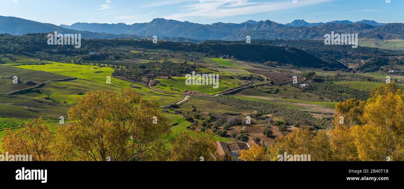 Blick auf die Berglandschaft, Ronda, Provinz Málaga, Andalusien, Spanien Stockfoto